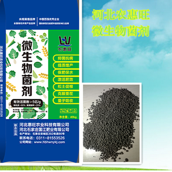 黄瓜种植底肥怎么选？惠旺微生物菌剂与苗壮生物有机肥科学施用指南