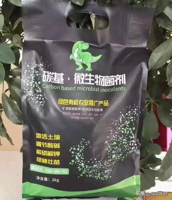 微生物菌剂如何破解土传病害难题