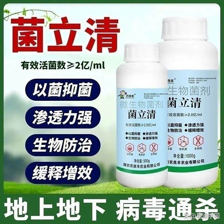 通用型菌立清 双杀真菌细菌，一瓶灌三亩的农用微生物菌剂