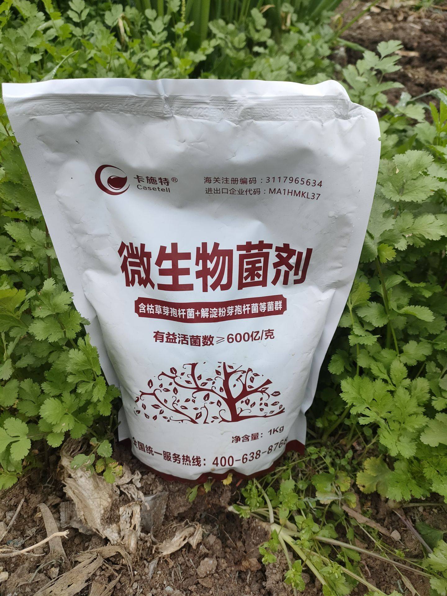 进口微生物菌剂如何选？卡施特效果实测与选购指南